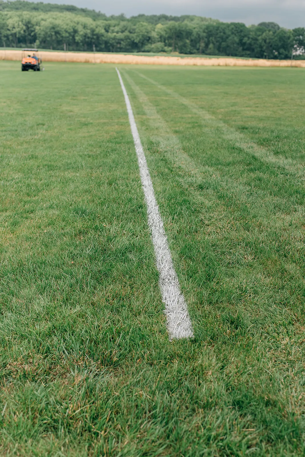 Expert Line Painting Services for Sports